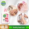 Dettol Moisturizing & Classic Pine Hand Wash Set