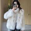 Autumn and Winter New Temperament Socialite Imitation Fox Fur Coat Women Fashionable Fluff Top
