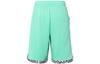 Nike Шорты для баскетбола мужские SS23 Светло-мятно-зеленые FJ7229-369
