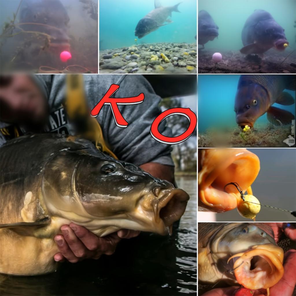 Приманка для рыбы, замаскированная под раковину, с различными ароматами, плавающая имитация приманки для рыбы, имитация плавучести при ловле европейского карпа,