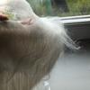Artificial Cosplay DIY Fancy Dress Simulated Beard Fake Beard Long Fluff Beard Handmade Mustache