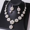 Exquisite Claw Chain Jewelry Set Luxury Necklace Earrings Set Pearl Necklaces Earrings  Women