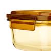 LocknLock Amber Glass 2-Compartment Food Container