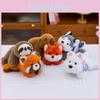 Capybara Husky Sloth Fox Raccoon Animal Plush Toy Doll Kids Room Gift Decoration