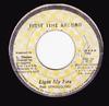 Пластинка 7 дюймов STRUGGLERS SOUL SYNDICATE Light My Fire Light My Fire Vers NONE Первый раз Arou Ямайка Регги Ска Даб Б/у