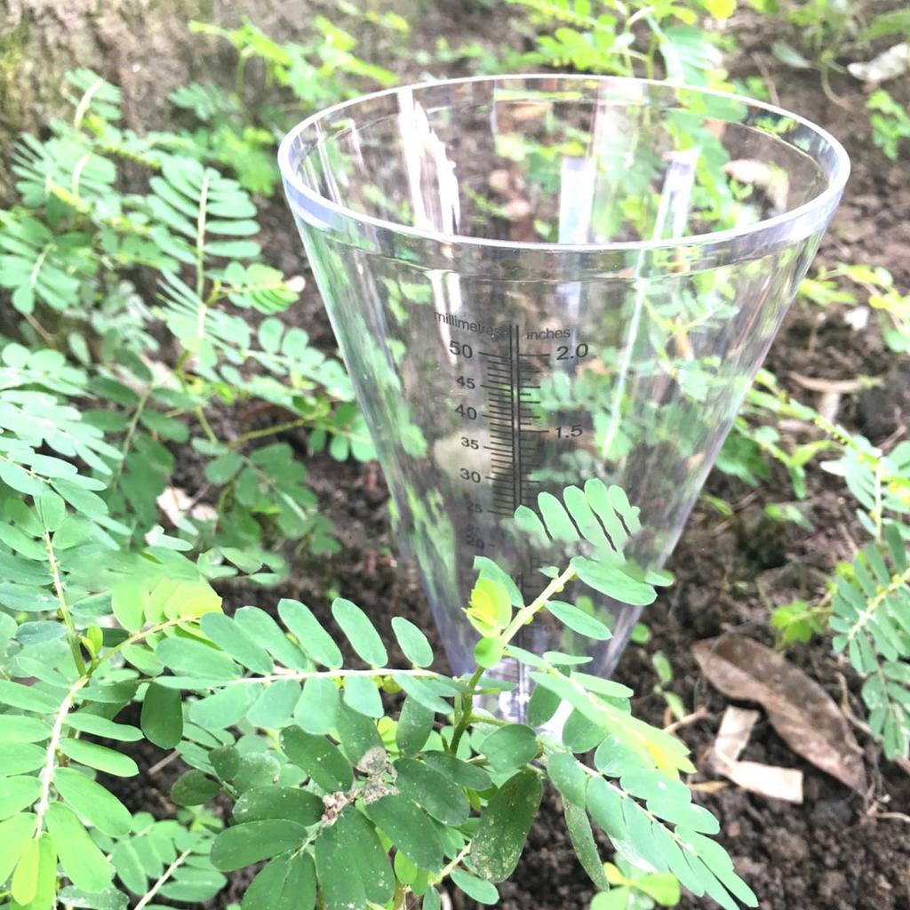 Clear Plastic Cone Rain Gauge Innovative Garden Rain Measurement Cup for Beginner Starter Gardening Plant Growing