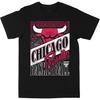 Мужская футболка NBA Chicago Bulls Черная Премиум Gildan Blanks