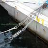 Boat Docking Mooring Spring Cable Tension Tie Damper Snubber Shock Absorbing 316 Stainless Steel Marine Hardware