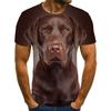 Summer Round Neck 3D Pet Dog Print Top Fashionable Casual Short Sleeved Men's T-shirts