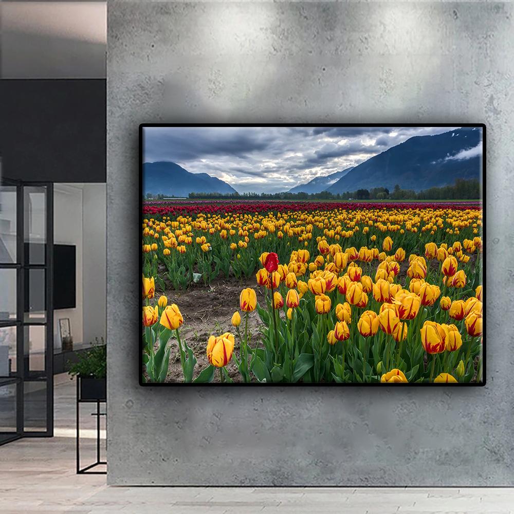 5D Diamond Painting Flowers Tulips DIY Diamond Embroidery Rhinestone Home Decoration