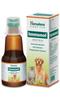 Immunol Supplement for Cats and Dogs - 100 Ml Immunomodulator and Phagocytosis Enhancer