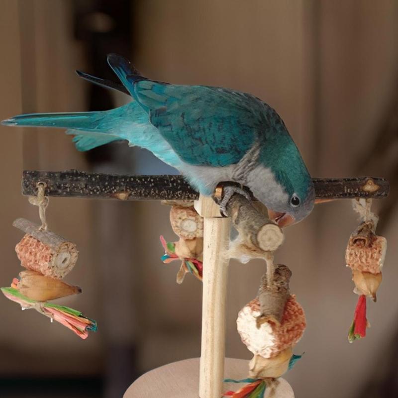 Деревянная жердочка для птиц, вращающаяся молярная подставка для попугаев, припасы для корелл, жердочки-скребки для маленьких и средних попугаев
