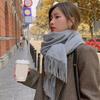Autumn And Winter New Imitation Cashmere Scarf Solid Color Thickened Warm Fashion Versatile Tassel Shawl High-End