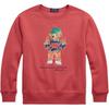 Polo Свитшот с принтом Polo Bear, с круглым вырезом, с длинным рукавом, для детей, топ 323973123-001