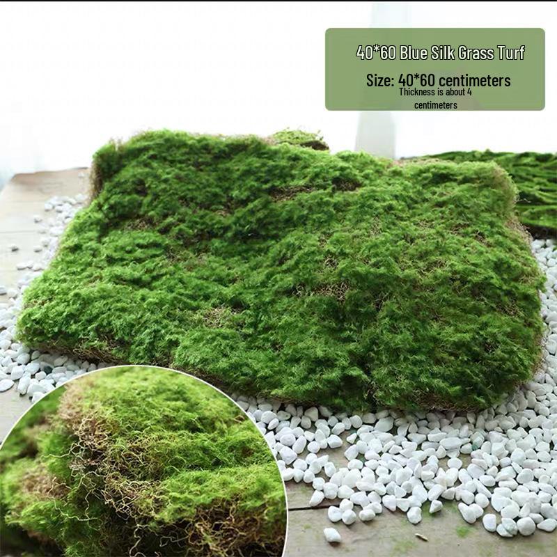 Artificial Moss Turf Carpet for Indoor & Outdoor Decoration