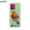 Чехол-сумка для мобильного телефона For Motorola Moto G84 2023 Чехол Мягкий Прозрачный ТПУ Силиконовый Чехол For Motorola Moto G54 G 54 Чехлы Coque Fundas