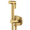 Sprayer Bidet Set Solid Brass Body Shine Chrome Black Gold Metal Grey Brass Shattaff Bathroom Toilet Fixture Cold Tap