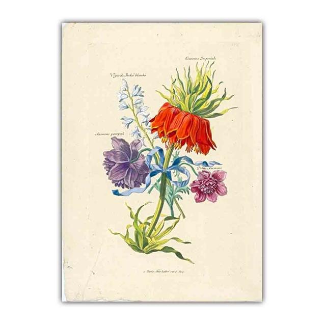 Скандинавское ретро-искусство картина на холсте с изображением растений эволюция цветов Популярная наука Плакат гостиная коридор украшение дома фреска без рамки