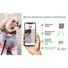 Светящийся ошейник для собак водостойкий WAUDOG Waterproof c QR-паспортом, 