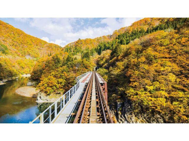 Осенняя смотровая машина Озаторо на железной дороге Айдзу из 4K Master (Блю рей) VB-6820 НОВЫЙ