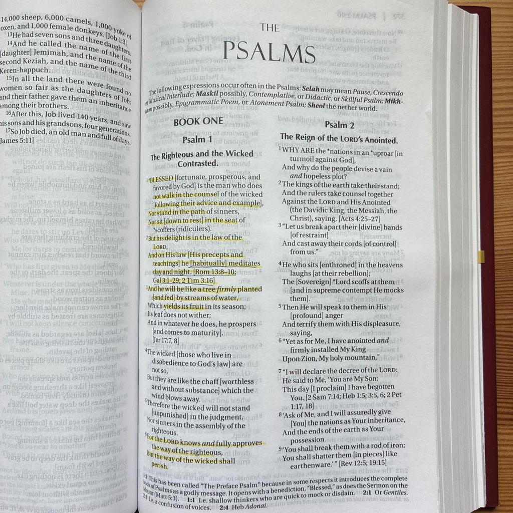 [ПОДЕРЖАННАЯ] УСИЛЕННАЯ СВЯТАЯ БИБЛИЯ