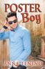 Книга Poster Boy