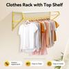 Wall-Mounted Clothes Rack, Modern Minimalist Heavy Metal Display Rack for Clothing Stores, Clothes Bar,Garment Hanger,Towel Rack