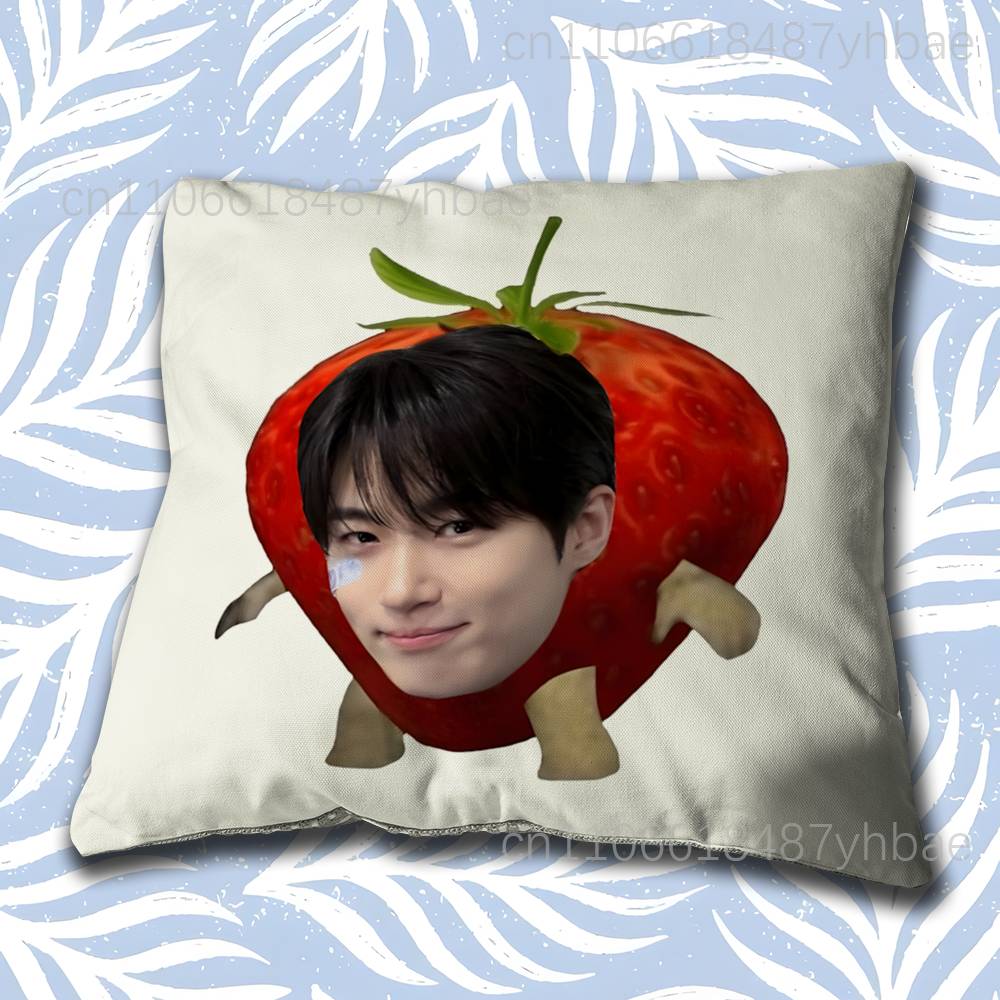 Korea BByeon Woo Seok Cushion Cover Pillow Cover Decor Pillowcase Printed Cushion Case For Couch