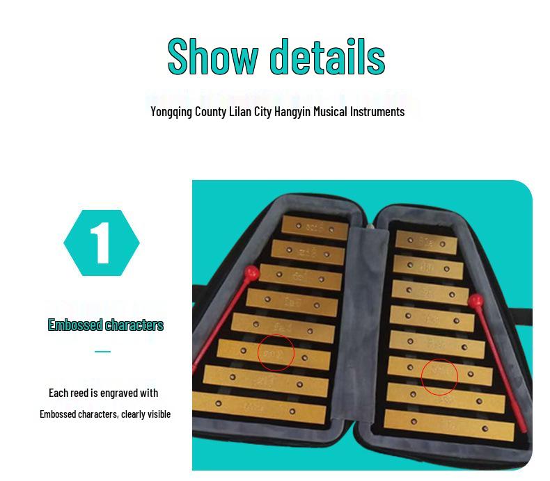 16-Note Double Row Glockenspiel for Early Childhood Education