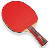 Ракетка для настольного тенниса Butterfly Ai Fukuhara 2000 16940 16940