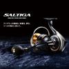 Daiwa SW Spinning Reel 25SALTIGA 20000-P