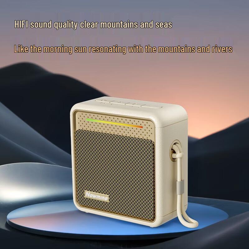 Портативная Bluetooth-колонка Newmine BT13 Hi-Res, штекер CN (адаптер в комплекте) (Китайская версия)