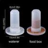 Transparent Automatic for Chicken Dove Parakeet Pigeon Food Box Parrot Water Dispenser Pigeon Feeder Bird Drinking Fountain