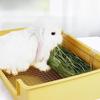 Rabbit Hanging Hay Feeder Rack Small Animals Feeding Holder Acrylic Guinea Pig Manger