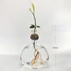 Hydroponics Seed Starter Vase Transparent Aromatherapy Bottle New Seed Growing Kit  Gift