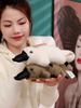 Новая Милая Плюшевая Утконос Утиный Клюв Плюшевая Игрушка Мягкая Симуляция Животного Кукла Подарок на День Рождения для Детей