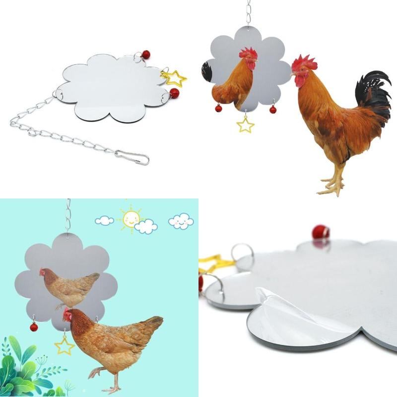 Chicken Mirror Hanging Swing Pecking Toy for Hens Chicks Birds Parrots high quality