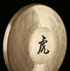 MEINL Sonic Energy Collection Gong The Tiger Gong 12,5 дюйма TG-125 (В комплект входит венчик) []