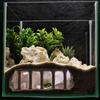 1 шт. 3D-печатная пещера-укрытие для аквариума, для рыб, креветок, рептилий, подземный туннель, укрытие, декор для аквариума, ландшафтный дизайн, домик