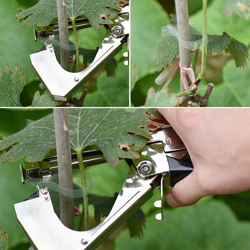 Garden Plant Tapetool Plant Tying Machine with 10 Rolls Tape 1 Box Staples for Vegetable Grape Tomato Cucumber Pepper Flower