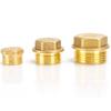 Haisidick Fine Copper Male Thread Pipe Plug