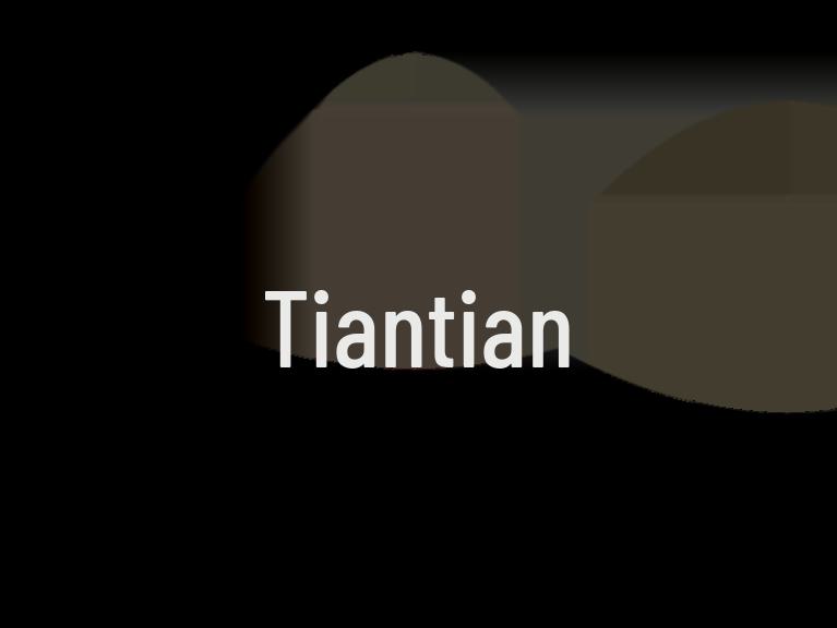 Сетка для защиты от домашних животных Окно Дверь: Вход для кошек и собак с функцией защиты от комаров