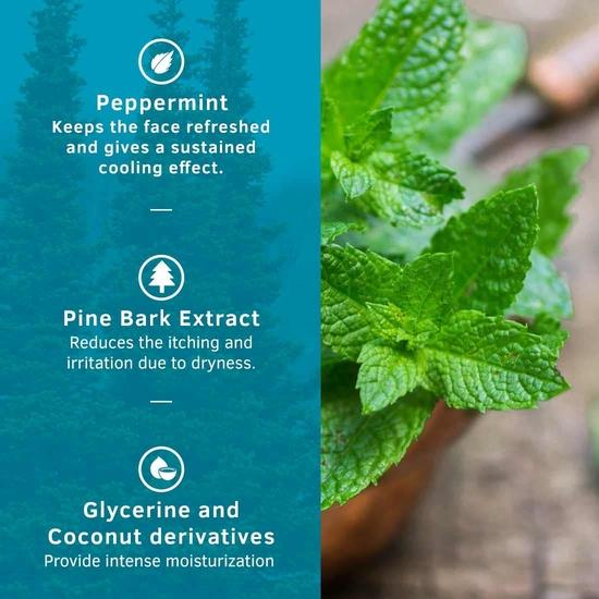 Ustraa Face Wash - Mint Cool - For Dry To Normal Skin - 200g X 2 (Set of 2) | Reduces Moisture Loss | Removes Dirt & Dead Skin