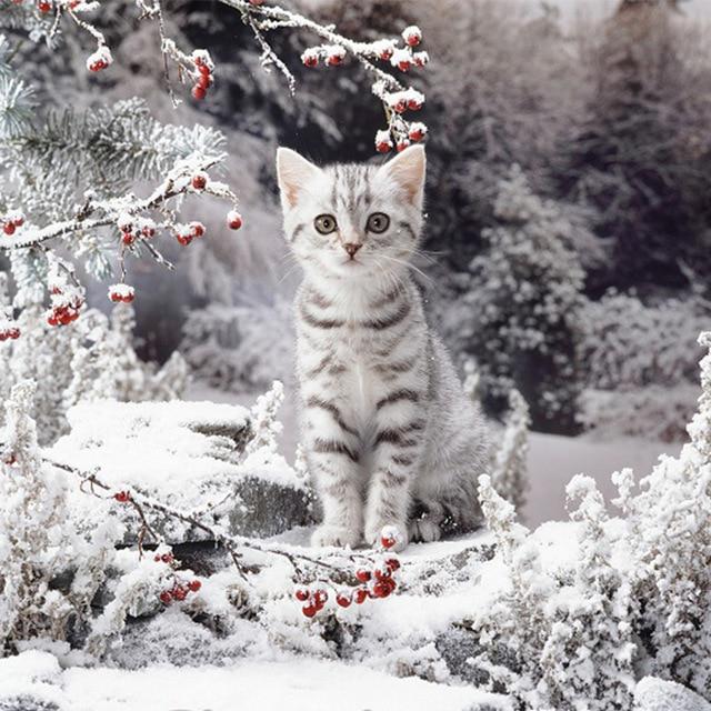 5D Алмазная картина Кошка Изгородь Листья Фрукты Животное Мозаика Круглая Полная Алмазная Вышивка Крестом