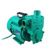 Silent 220V Household Self-Priming Booster Pump for Tap Water Supply