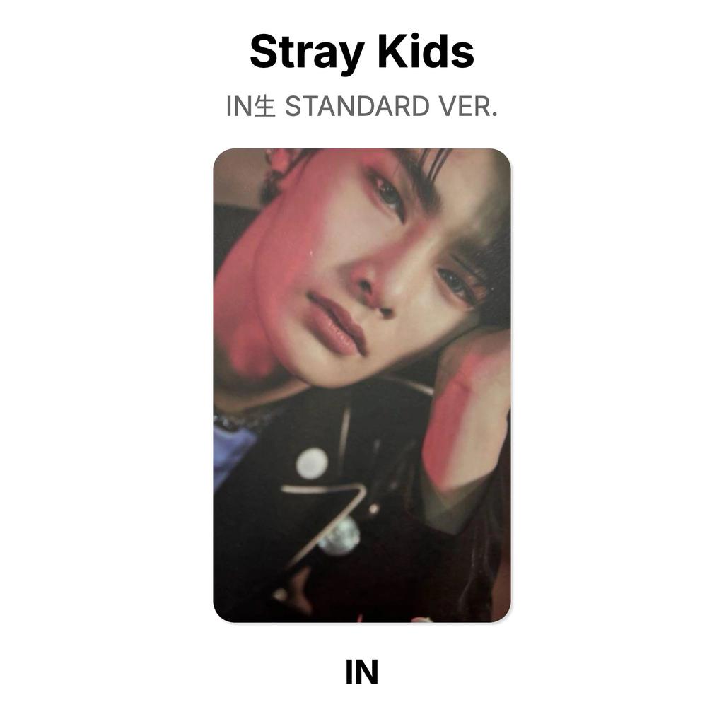 Stray Kids В СТАНДАРТНОЙ ВЕРСИИ. Официальная фотокарта