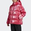 adidas Оригинальная пуховая куртка Зимняя женская Energy Powder GD2519