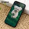 Airedale Terrier Dog Phone Case Cover For iPhone 17 Air 16 15 14 plus 12 13 pro max coque Shell Fundas