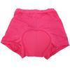 Breathable Women Cycling Underwear Polyester, Silicone Women Bicycle Briefs  Indoor Training