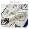 Stream Market Towel Handkerchief, Women's, Children, Mini Towel, Handkerchief Towel, Boys, Girls, Kindergarten, Nursery School, Elementary School